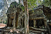 Ta Prohm temple - west gallery of the 3rd enclosure, corner pavillon 